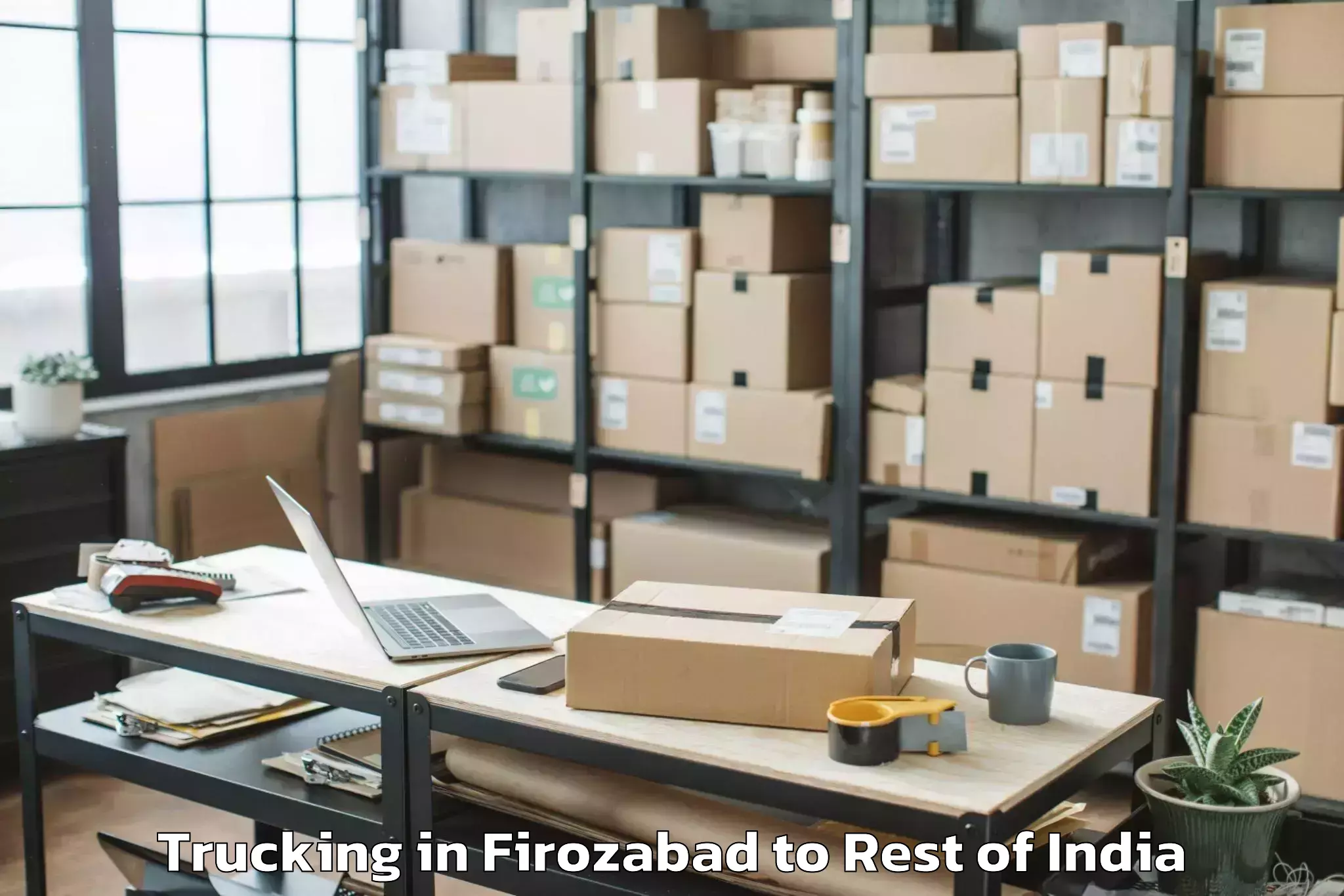 Professional Firozabad to Chadoora Trucking